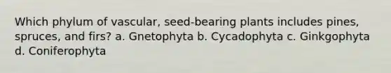 Which phylum of vascular, seed-bearing plants includes pines, spruces, and firs? a. Gnetophyta b. Cycadophyta c. Ginkgophyta d. Coniferophyta