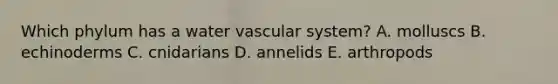 Which phylum has a water vascular system? A. molluscs B. echinoderms C. cnidarians D. annelids E. arthropods