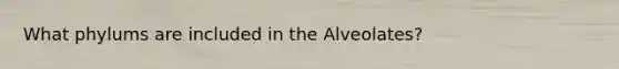 What phylums are included in the Alveolates?