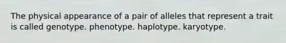 The physical appearance of a pair of alleles that represent a trait is called genotype. phenotype. haplotype. karyotype.