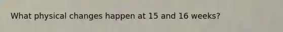 What physical changes happen at 15 and 16 weeks?