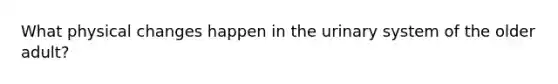 What physical changes happen in the urinary system of the older adult?