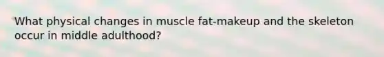 What physical changes in muscle fat-makeup and the skeleton occur in middle adulthood?