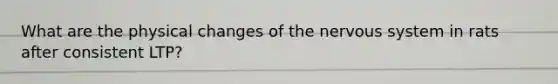 What are the physical changes of the nervous system in rats after consistent LTP?
