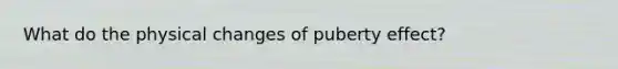 What do the physical changes of puberty effect?