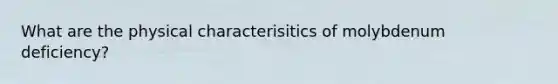 What are the physical characterisitics of molybdenum deficiency?