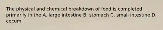 The physical and chemical breakdown of food is completed primarily in the A. large intestine B. stomach C. small intestine D. cecum