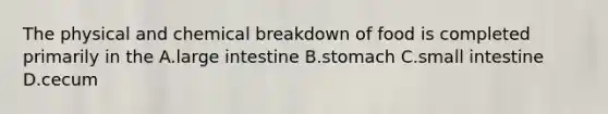 The physical and chemical breakdown of food is completed primarily in the A.large intestine B.stomach C.small intestine D.cecum