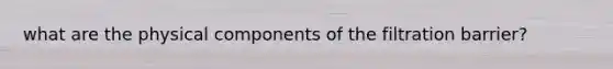 what are the physical components of the filtration barrier?