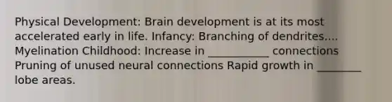 Physical Development: Brain development is at its most accelerated early in life. Infancy: Branching of dendrites.... Myelination Childhood: Increase in ___________ connections Pruning of unused neural connections Rapid growth in ________ lobe areas.