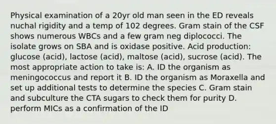 Physical examination of a 20yr old man seen in the ED reveals nuchal rigidity and a temp of 102 degrees. Gram stain of the CSF shows numerous WBCs and a few gram neg diplococci. The isolate grows on SBA and is oxidase positive. Acid production: glucose (acid), lactose (acid), maltose (acid), sucrose (acid). The most appropriate action to take is: A. ID the organism as meningococcus and report it B. ID the organism as Moraxella and set up additional tests to determine the species C. Gram stain and subculture the CTA sugars to check them for purity D. perform MICs as a confirmation of the ID