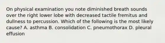 On physical examination you note diminished breath sounds over the right lower lobe with decreased tactile fremitus and dullness to percussion. Which of the following is the most likely cause? A. asthma B. consolidation C. pneumothorax D. pleural effusion