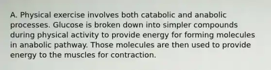 A. Physical exercise involves both catabolic and anabolic processes. Glucose is broken down into simpler compounds during physical activity to provide energy for forming molecules in anabolic pathway. Those molecules are then used to provide energy to the muscles for contraction.