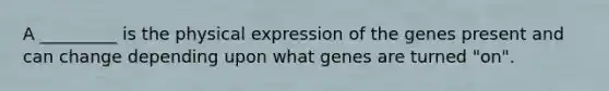 A _________ is the physical expression of the genes present and can change depending upon what genes are turned "on".