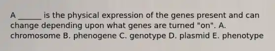 A ______ is the physical expression of the genes present and can change depending upon what genes are turned "on". A. chromosome B. phenogene C. genotype D. plasmid E. phenotype