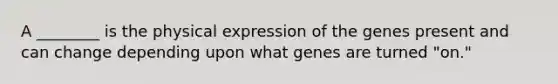 A ________ is the physical expression of the genes present and can change depending upon what genes are turned "on."