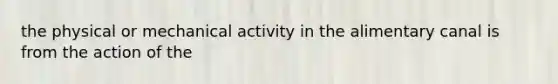 the physical or mechanical activity in the alimentary canal is from the action of the