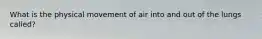 What is the physical movement of air into and out of the lungs called?