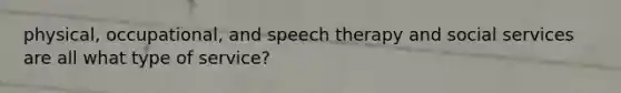 physical, occupational, and speech therapy and social services are all what type of service?