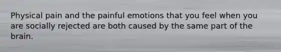 Physical pain and the painful emotions that you feel when you are socially rejected are both caused by the same part of the brain.