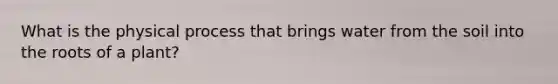 What is the physical process that brings water from the soil into the roots of a plant?