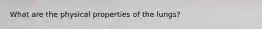 What are the physical properties of the lungs?