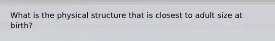 What is the physical structure that is closest to adult size at birth?