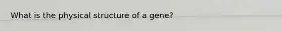 What is the physical structure of a gene?