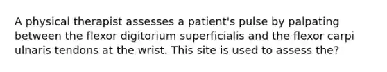 A physical therapist assesses a patient's pulse by palpating between the flexor digitorium superficialis and the flexor carpi ulnaris tendons at the wrist. This site is used to assess the?
