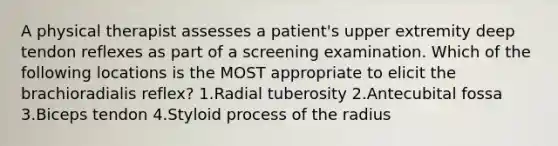 A physical therapist assesses a patient's upper extremity deep tendon reflexes as part of a screening examination. Which of the following locations is the MOST appropriate to elicit the brachioradialis reflex? 1.Radial tuberosity 2.Antecubital fossa 3.Biceps tendon 4.Styloid process of the radius