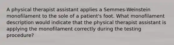 A physical therapist assistant applies a Semmes-Weinstein monofilament to the sole of a patient's foot. What monofilament description would indicate that the physical therapist assistant is applying the monofilament correctly during the testing procedure?