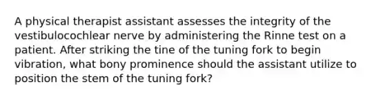 A physical therapist assistant assesses the integrity of the vestibulocochlear nerve by administering the Rinne test on a patient. After striking the tine of the tuning fork to begin vibration, what bony prominence should the assistant utilize to position the stem of the tuning fork?