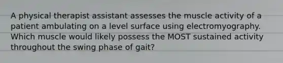 A physical therapist assistant assesses the muscle activity of a patient ambulating on a level surface using electromyography. Which muscle would likely possess the MOST sustained activity throughout the swing phase of gait?