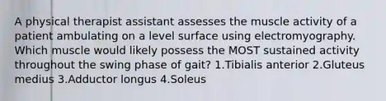 A physical therapist assistant assesses the muscle activity of a patient ambulating on a level surface using electromyography. Which muscle would likely possess the MOST sustained activity throughout the swing phase of gait? 1.Tibialis anterior 2.Gluteus medius 3.Adductor longus 4.Soleus