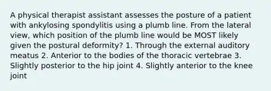 A physical therapist assistant assesses the posture of a patient with ankylosing spondylitis using a plumb line. From the lateral view, which position of the plumb line would be MOST likely given the postural deformity? 1. Through the external auditory meatus 2. Anterior to the bodies of the thoracic vertebrae 3. Slightly posterior to the hip joint 4. Slightly anterior to the knee joint