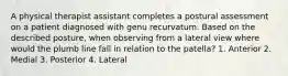 A physical therapist assistant completes a postural assessment on a patient diagnosed with genu recurvatum. Based on the described posture, when observing from a lateral view where would the plumb line fall in relation to the patella? 1. Anterior 2. Medial 3. Posterior 4. Lateral