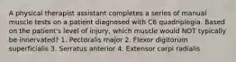 A physical therapist assistant completes a series of manual muscle tests on a patient diagnosed with C6 quadriplegia. Based on the patient's level of injury, which muscle would NOT typically be innervated? 1. Pectoralis major 2. Flexor digitorum superficialis 3. Serratus anterior 4. Extensor carpi radialis