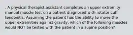 . A physical therapist assistant completes an upper extremity manual muscle test on a patient diagnosed with rotator cuff tendonitis. Assuming the patient has the ability to move the upper extremities against gravity, which of the following muscles would NOT be tested with the patient in a supine position?