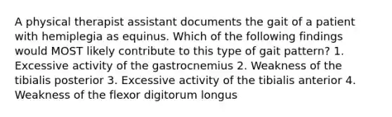 A physical therapist assistant documents the gait of a patient with hemiplegia as equinus. Which of the following findings would MOST likely contribute to this type of gait pattern? 1. Excessive activity of the gastrocnemius 2. Weakness of the tibialis posterior 3. Excessive activity of the tibialis anterior 4. Weakness of the flexor digitorum longus