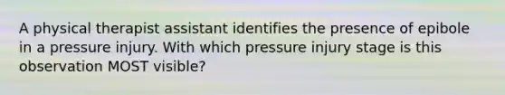 A physical therapist assistant identifies the presence of epibole in a pressure injury. With which pressure injury stage is this observation MOST visible?