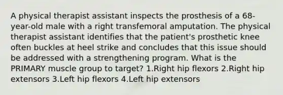 A physical therapist assistant inspects the prosthesis of a 68-year-old male with a right transfemoral amputation. The physical therapist assistant identifies that the patient's prosthetic knee often buckles at heel strike and concludes that this issue should be addressed with a strengthening program. What is the PRIMARY muscle group to target? 1.Right hip flexors 2.Right hip extensors 3.Left hip flexors 4.Left hip extensors