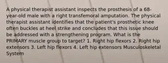 A physical therapist assistant inspects the prosthesis of a 68-year-old male with a right transfemoral amputation. The physical therapist assistant identifies that the patient's prosthetic knee often buckles at heel strike and concludes that this issue should be addressed with a strengthening program. What is the PRIMARY muscle group to target? 1. Right hip flexors 2. Right hip extensors 3. Left hip flexors 4. Left hip extensors Musculoskeletal System