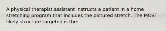 A physical therapist assistant instructs a patient in a home stretching program that includes the pictured stretch. The MOST likely structure targeted is the: