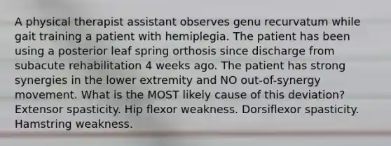 A physical therapist assistant observes genu recurvatum while gait training a patient with hemiplegia. The patient has been using a posterior leaf spring orthosis since discharge from subacute rehabilitation 4 weeks ago. The patient has strong synergies in the lower extremity and NO out-of-synergy movement. What is the MOST likely cause of this deviation? Extensor spasticity. Hip flexor weakness. Dorsiflexor spasticity. Hamstring weakness.