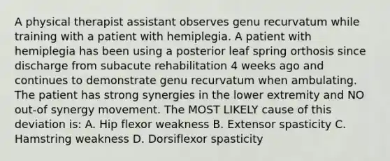 A physical therapist assistant observes genu recurvatum while training with a patient with hemiplegia. A patient with hemiplegia has been using a posterior leaf spring orthosis since discharge from subacute rehabilitation 4 weeks ago and continues to demonstrate genu recurvatum when ambulating. The patient has strong synergies in the lower extremity and NO out-of synergy movement. The MOST LIKELY cause of this deviation is: A. Hip flexor weakness B. Extensor spasticity C. Hamstring weakness D. Dorsiflexor spasticity