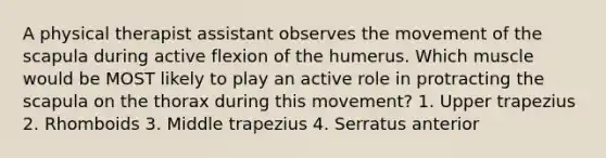 A physical therapist assistant observes the movement of the scapula during active flexion of the humerus. Which muscle would be MOST likely to play an active role in protracting the scapula on the thorax during this movement? 1. Upper trapezius 2. Rhomboids 3. Middle trapezius 4. Serratus anterior