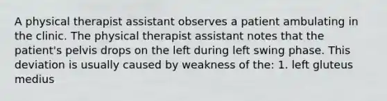 A physical therapist assistant observes a patient ambulating in the clinic. The physical therapist assistant notes that the patient's pelvis drops on the left during left swing phase. This deviation is usually caused by weakness of the: 1. left gluteus medius