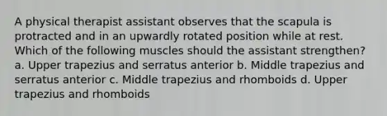 A physical therapist assistant observes that the scapula is protracted and in an upwardly rotated position while at rest. Which of the following muscles should the assistant strengthen? a. Upper trapezius and serratus anterior b. Middle trapezius and serratus anterior c. Middle trapezius and rhomboids d. Upper trapezius and rhomboids