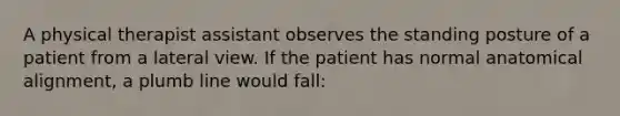 A physical therapist assistant observes the standing posture of a patient from a lateral view. If the patient has normal anatomical alignment, a plumb line would fall: