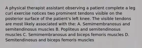 A physical therapist assistant observing a patient complete a leg curl exercise notices two prominent tendons visible on the posterior surface of the patient's left knee. The visible tendons are most likely associated with the: A. Semimembranosus and semitendinosus muscles B. Popliteus and semitendinosus muscles C. Semimembranosus and biceps femoris muscles D. Semitendinosus and biceps femoris muscles